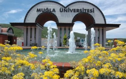 Muğla Üniversitesi Temsilcilik Ataması